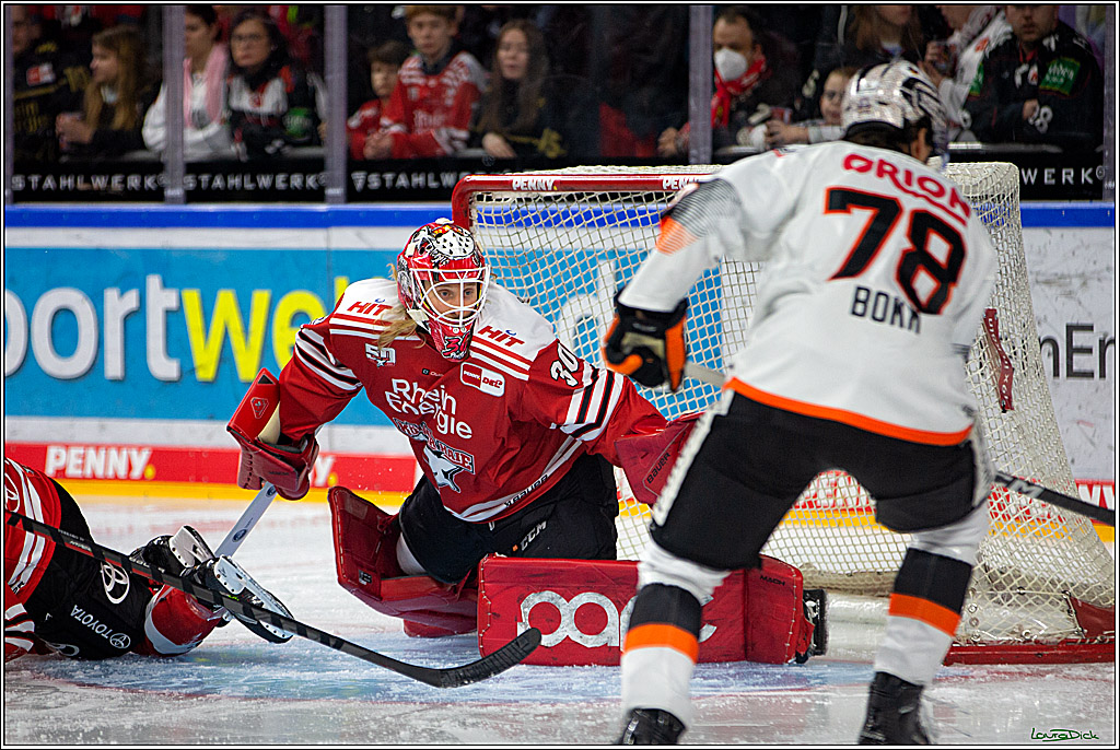 PENNY DEL; Koelner Haie- Loewen Frankfurt; Koeln, 01.12.2022